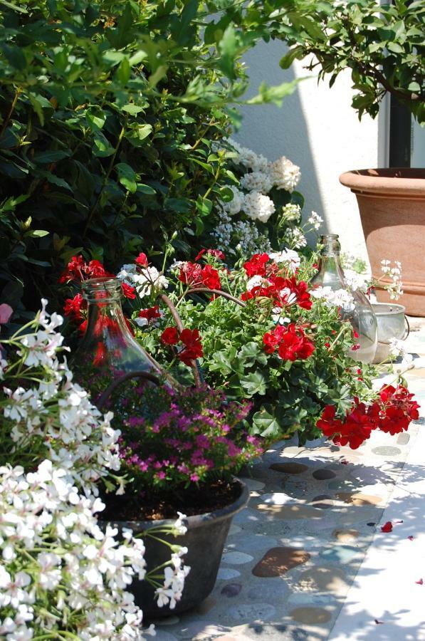 B&B Santa Fosca Pederobba Exterior photo
